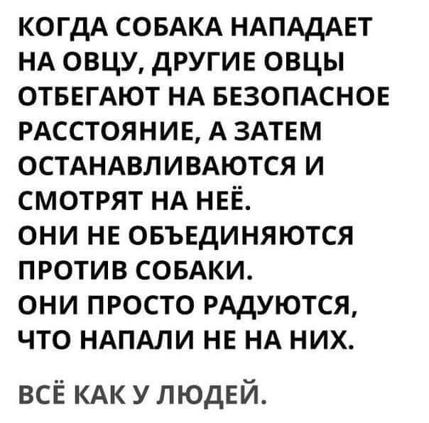 fb_img_1542484468478.jpg