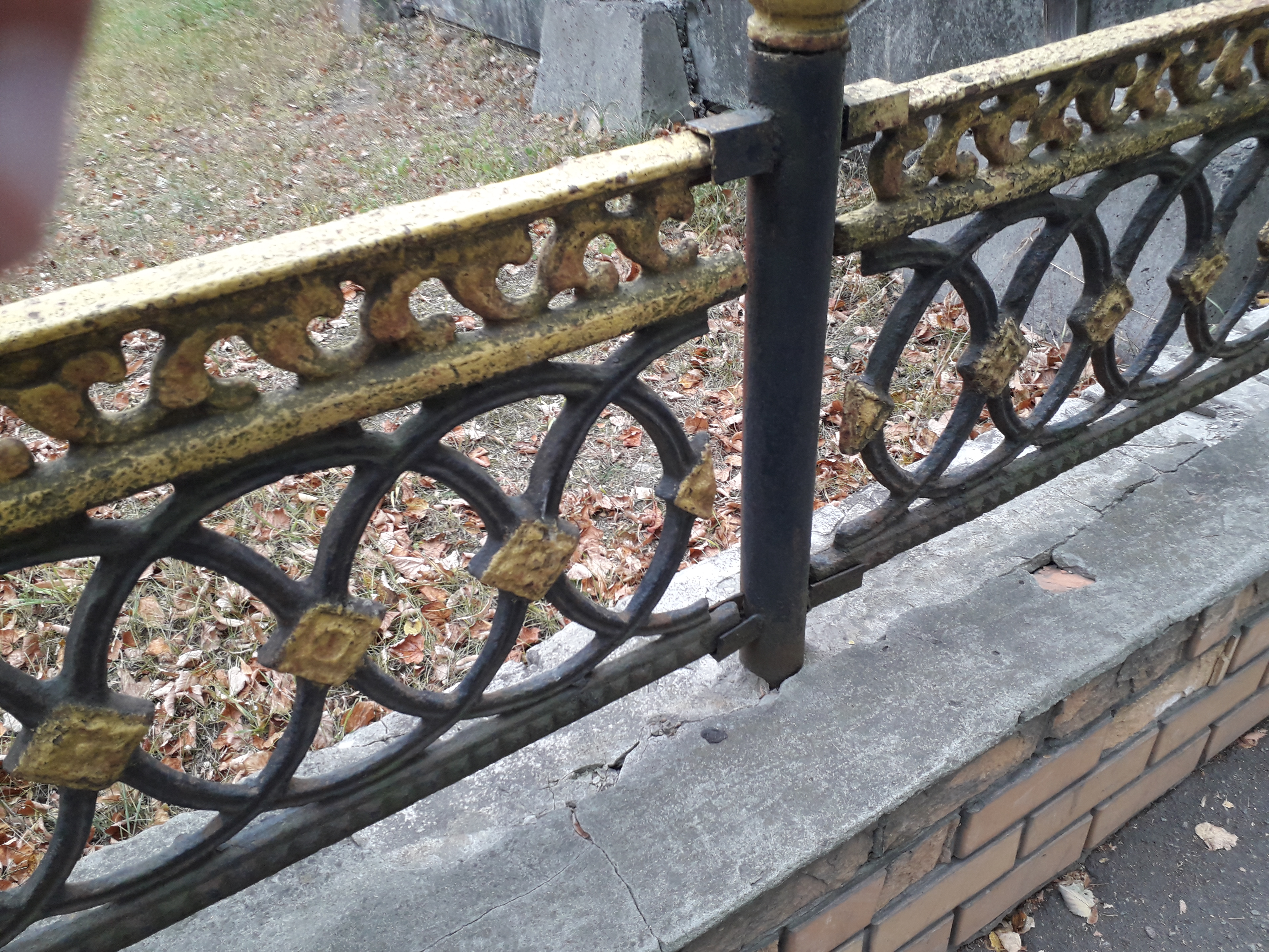 20201007_083733.jpg